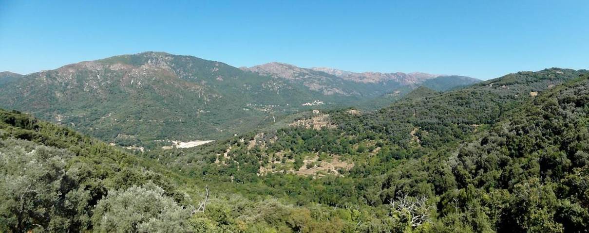 Gîte pour 2 personnes, avec vue et jardin, adapté aux familles à Sainte-Lucie-de-Tallano - 3