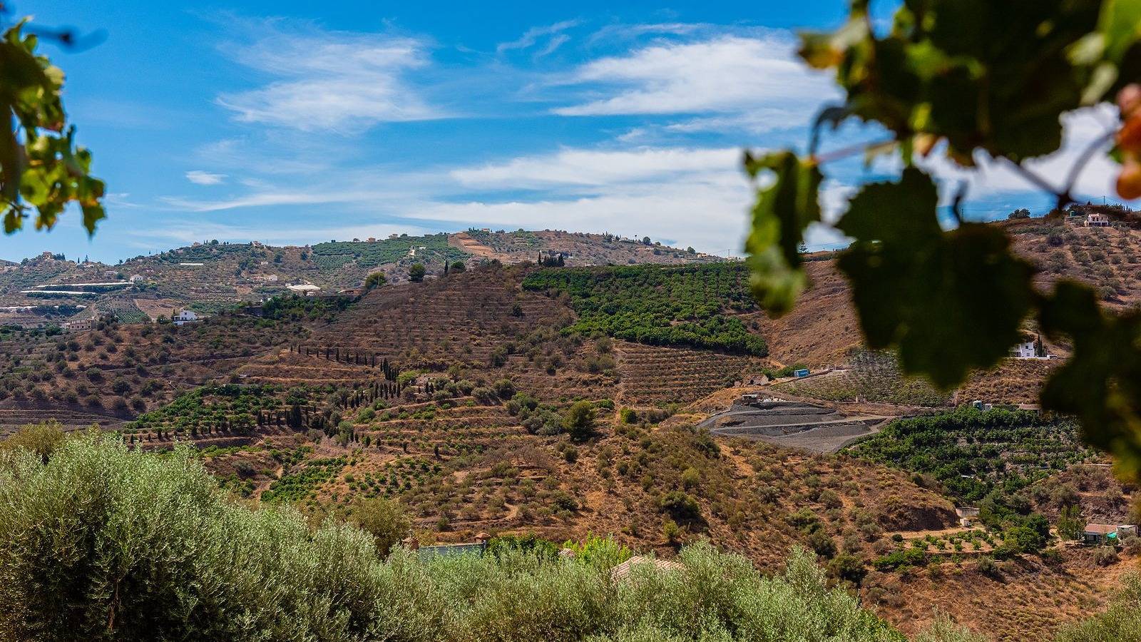 Cortijo Maravilla Frigiliana by Ruralidays in Frigiliana, Costa del Sol