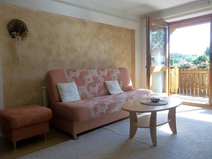 Ganze Ferienwohnung, Ferienwohnung Günschmann - mit 1 Wohnr., 1 Schlafr., Kochzeile, Bad/Du+Wc, 39 m² in Wipfratal, Thüringer Kernland