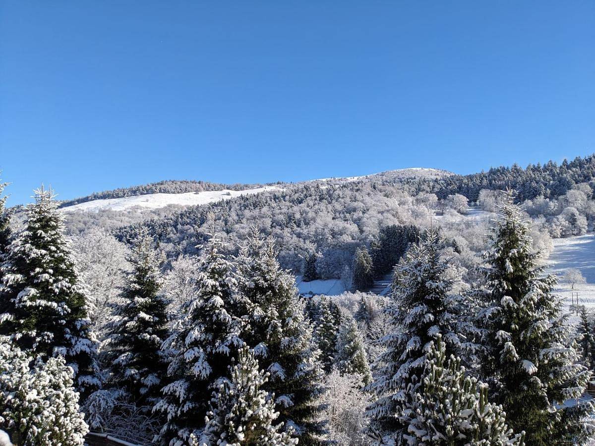 La source in Sondernach, Parc naturel régional des Ballons des Vosges