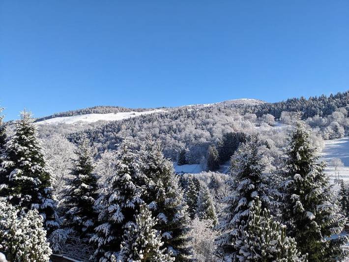 Chambre d’hôte pour 4 personnes, avec sauna et vue ainsi que jardin et terrasse, animaux acceptés dans le Haut-Rhin - 2
