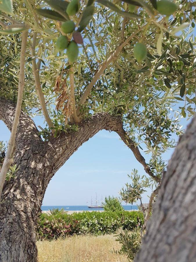 Bed & Breakfast del Faro in Giovinazzo, Provincia di Bari