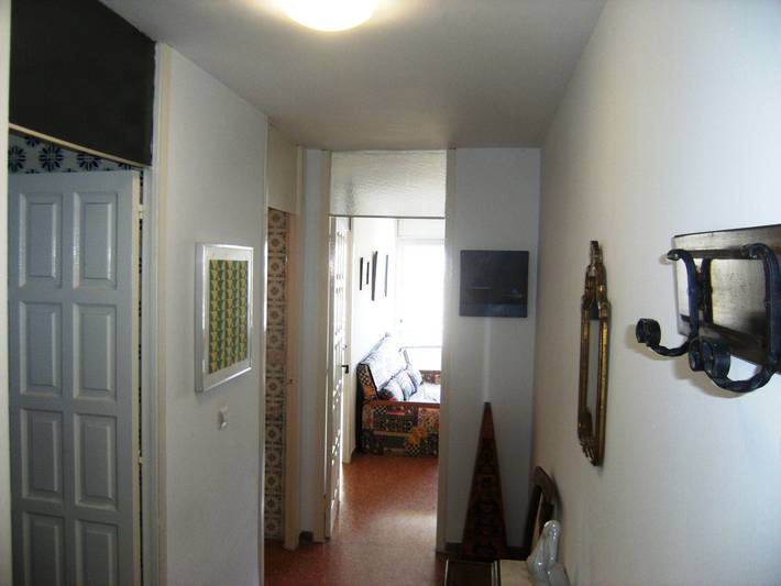 Apartamento de férias para 3 pessoas, com piscina infantil e piscina e ainda terraço, com animais de estimação - 1