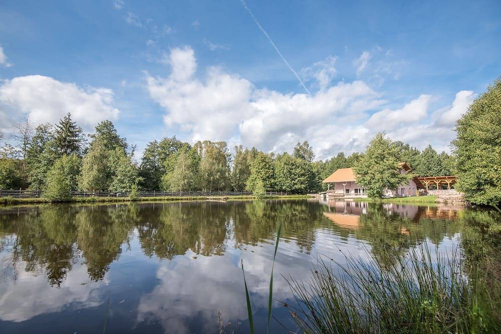 Propriété Chalet-gîte 15-21 Couchages, Pleine Nature Avec Jacuzzi,Étang Privatif in Corcieux, Parc naturel régional des Ballons des Vosges
