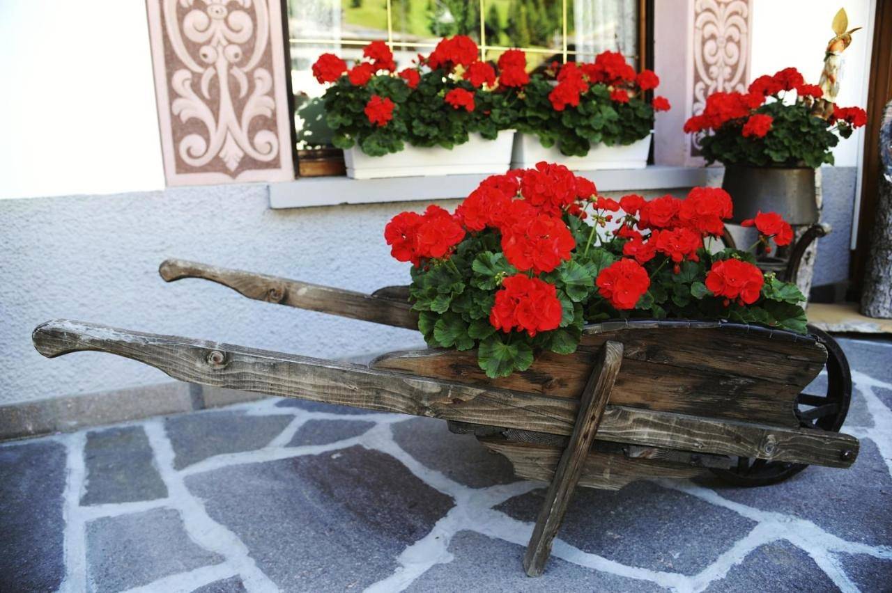 Albergo Venezia in Sappada, Karnischer Hauptkamm