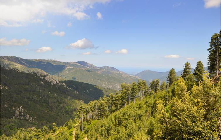 Cottage pour 4 personnes, animaux acceptés à Ghisoni