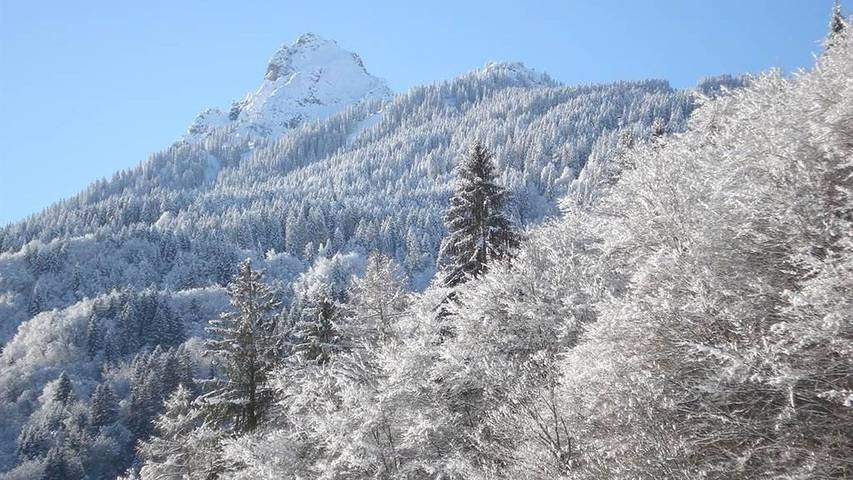 Ferienwohnung für 4 Personen, mit Terrasse und Garten in Tschagguns - 2
