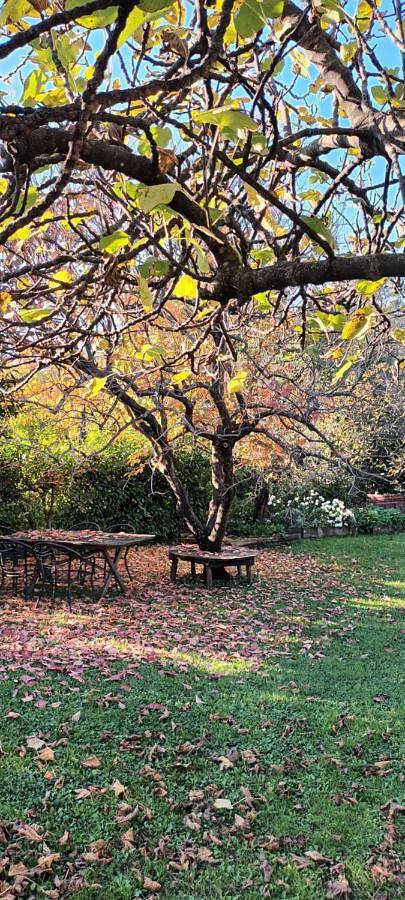 Location de vacances pour 5 personnes, avec jardin et vue à Vipava