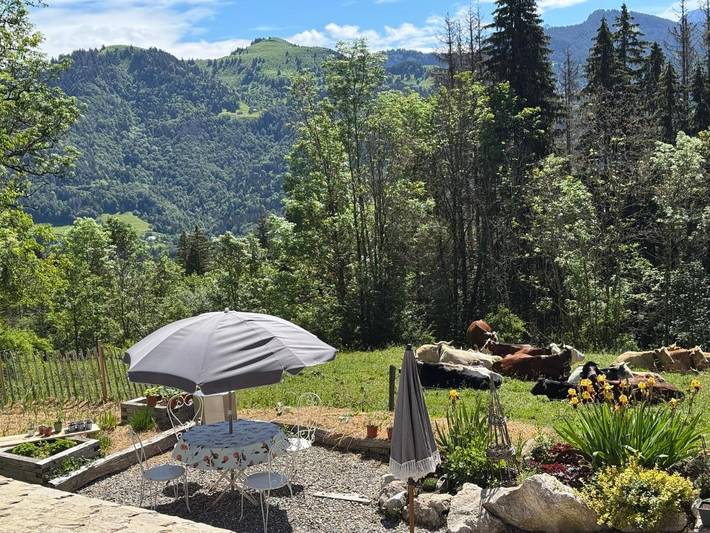 Gîte pour 4 personnes, avec Terrasse ainsi que Jardin et Vue à Mégevette - 4