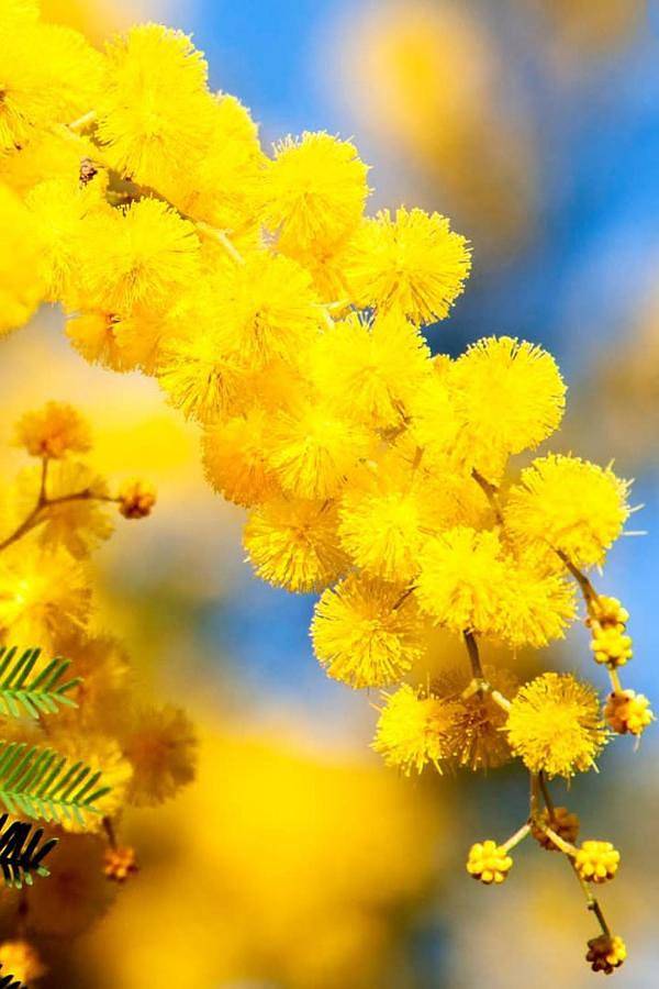 Gîte pour 2 personnes, avec vue ainsi que piscine et jardin à Peymeinade - 3