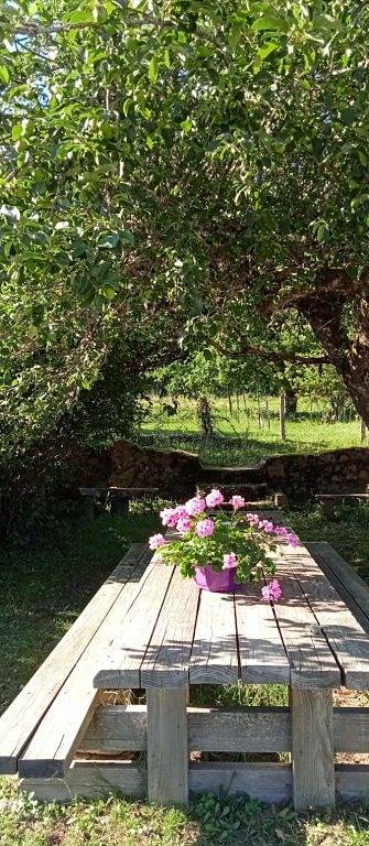 Chambre d’hôte pour 2 personnes, avec jardin dans le Parc naturel régional du Morvan - 4