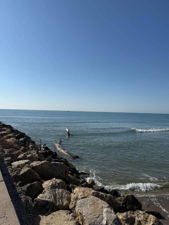 Gîte pour 4 personnes, avec vue et balcon, animaux acceptés dans Port De Valras Valras Plage - 2