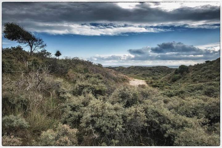 Chambre d’hôte pour 2 personnes, avec jardin à Renesse - 4