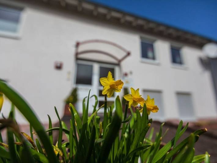 Ferienhaus für 3 Personen, mit Balkon und Terrasse sowie Garten in Cochem - 2