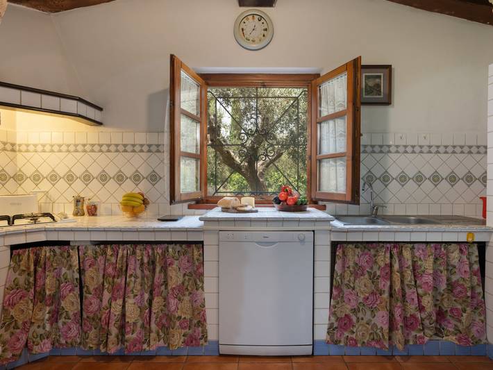 Bouganville in Bibbona, Costa degli Etruschi