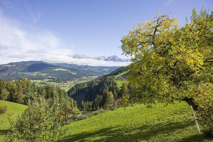 Geheel vakantieappartement, Appartement, douche, Wc, 1 slaapkamer in Söll, Kaisergebirge