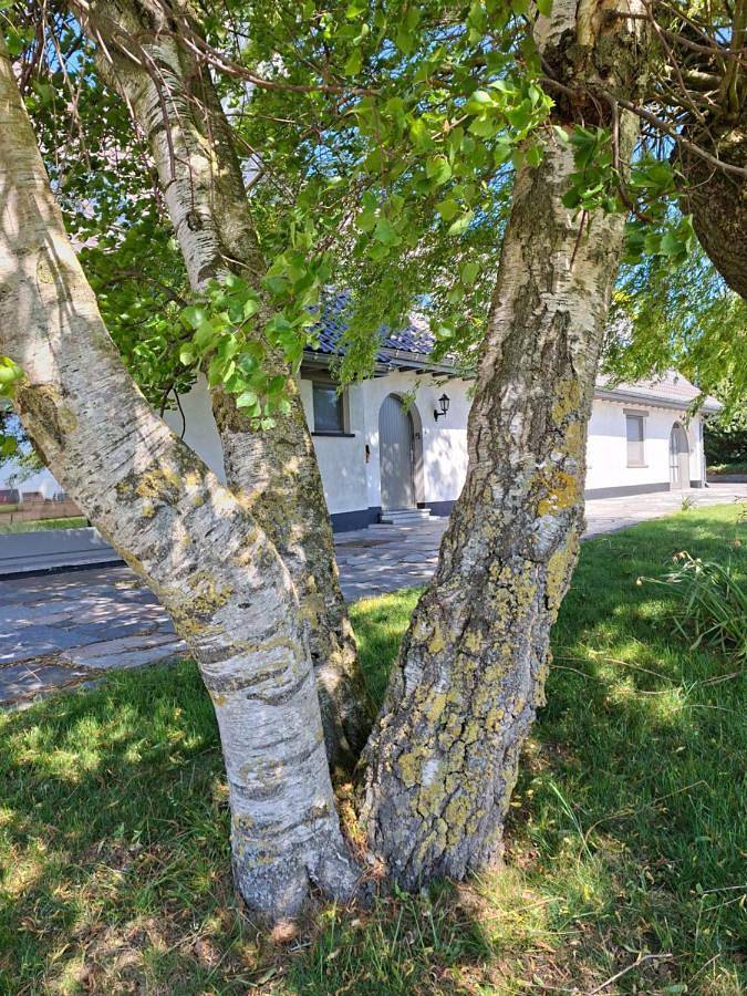 Maison de campagne pour 2 personnes, avec vue et jardin à Poperinge