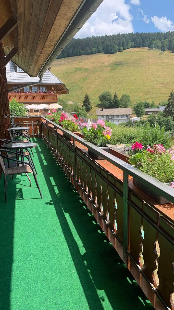 Ganze Wohnung, Apartment 4 im Gästehaus Bühlhof in Todtnauberg in Todtnauberg (Todtnau), Todtnau