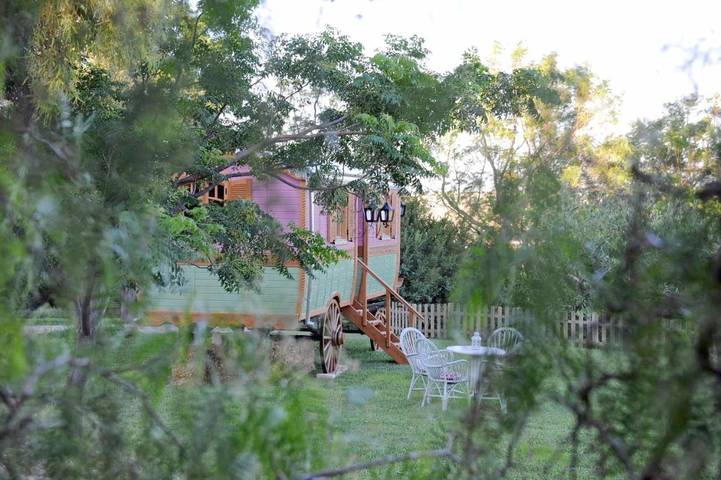 Maison d’hôte pour 2 personnes, avec jardin ainsi que piscine et vue à Arcos de la Frontera - 4