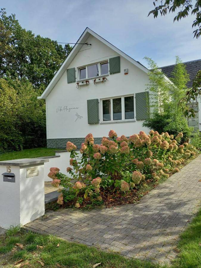 Chambre d’hôte pour 2 personnes, avec Terrasse ainsi que Jardin et Vue à Rixensart