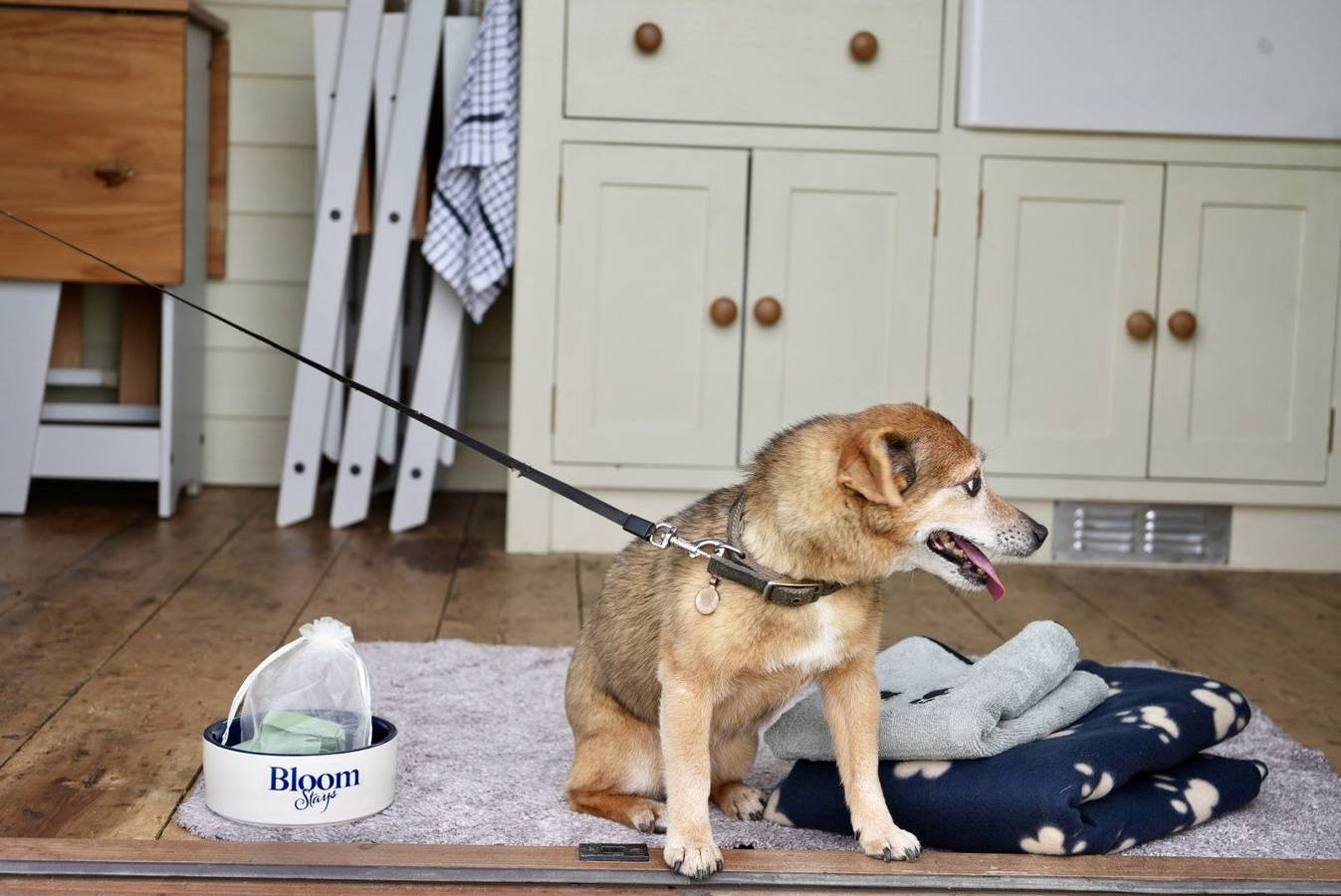 Rumwold in Bonnington, Ashford region