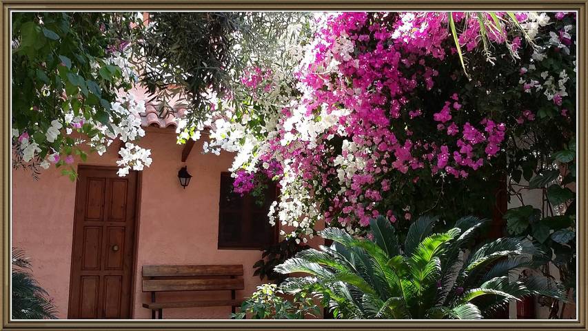 Gîte pour 3 personnes, avec vue sur l’océan ainsi que terrasse et jardin