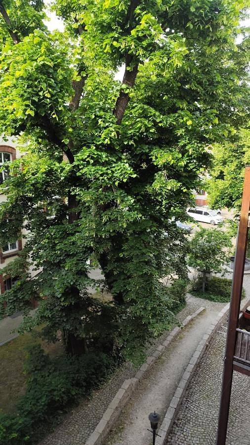 Gîte pour 3 personnes, avec vue et balcon à Cottbus - 2