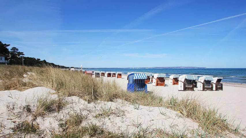 Ferienhaus für 16 Personen, mit Garten in Sagard - 2