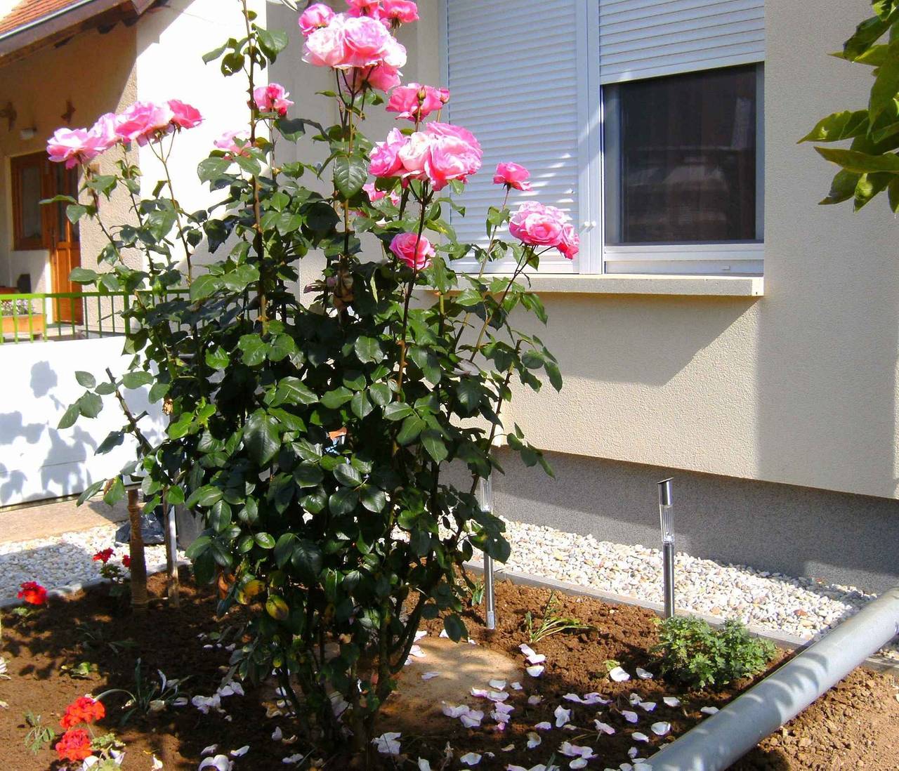 Ferienhaus nur 150 m von der Therme entfernt in Bük, Komitat Eisenburg