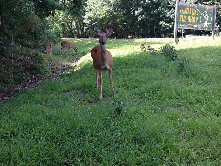 Log cabin for 10 people, with terrace in Oklahoma