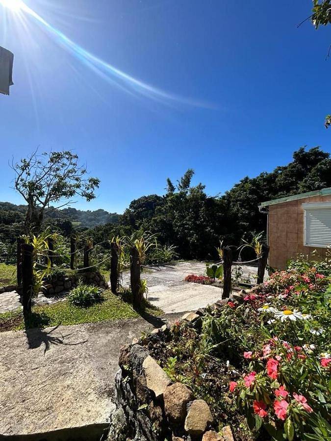 Location de vacances pour 4 personnes, avec jardin dans La Soufrière - 2