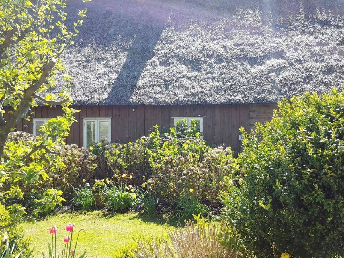 Marie Carla in Simonsberg, Halbinsel Eiderstedt