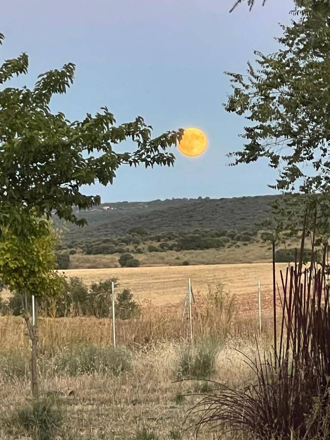 Chalet para 8 personas, con piscina además de jardín y vistas en Provincia de Guadalajara - 2