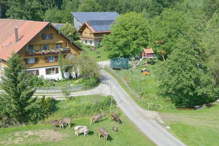 Gîte pour 6 personnes, avec Balcon ainsi que Jardin et Vue à Opfenbach