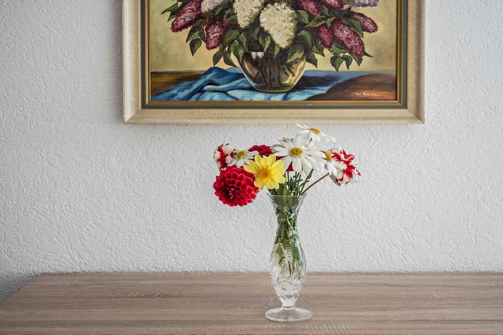 Ganze Wohnung, Ferienwohnung "Insel Reichenau" mit Terrasse & Wlan in Reichenau, Untersee