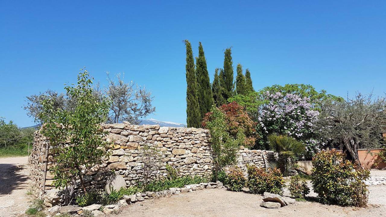 Le moulin in Crillon-le-Brave, Parc naturel régional du Mont-Ventoux