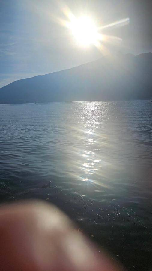 Location de vacances pour 6 personnes, avec terrasse et piscine ainsi que vue et jardin, animaux acceptés à Novalaise - 4