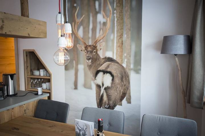 Ganze Ferienwohnung, Hochkönig in Hochkönigstock, Mühlbach am Hochkönig