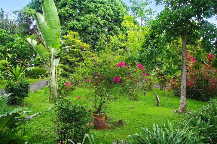 Apartamento entero, Exquisito Apartamento en Baie-Mahault, 40m² con Hermoso Jardín in Baie-Mahault, Guadalupe