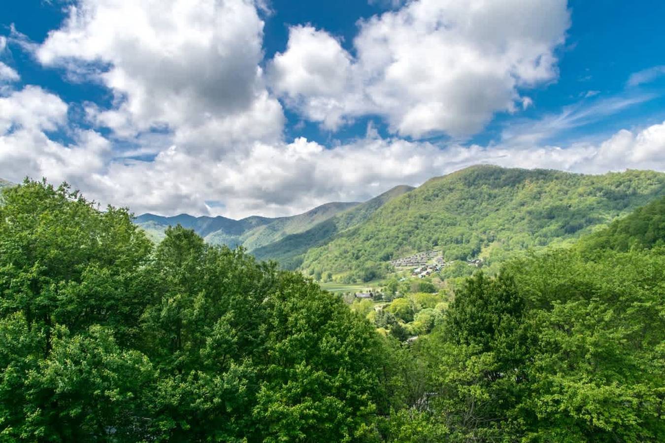 Mountain View 3Br w  Sunroom   Close  to Ski Trails in Blue Ridge Parkway, Maggie Valley
