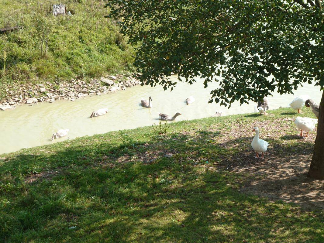 Gîte de la Ferme in Hurigny, Région de Mâcon