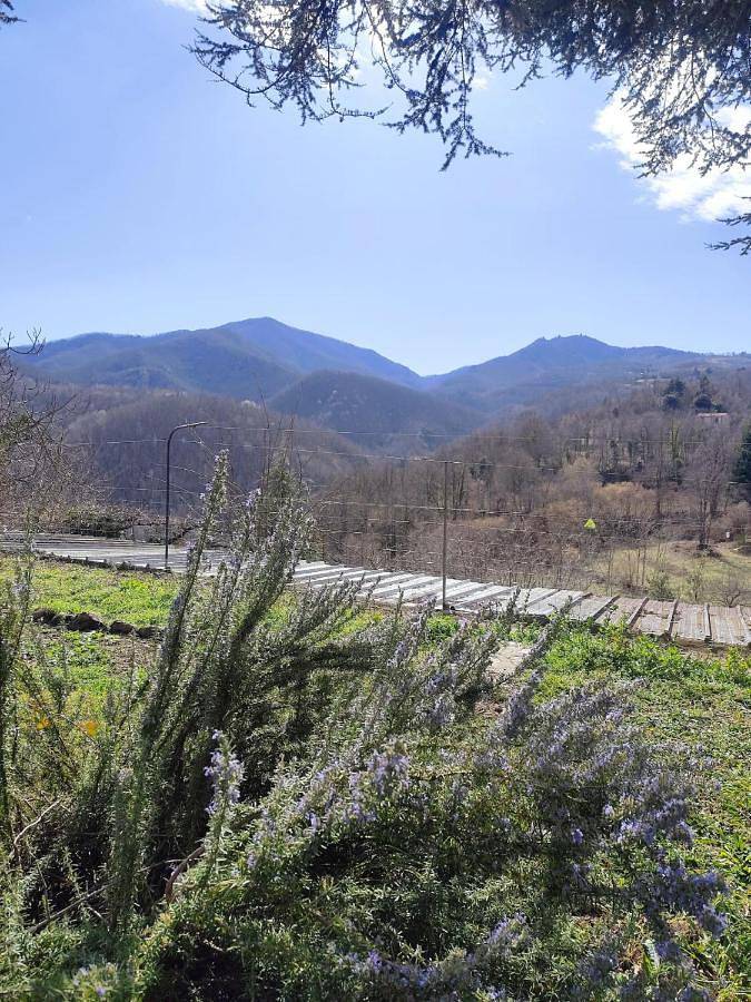 Location de vacances pour 2 personnes, avec jardin ainsi que vue et terrasse, animaux acceptés à Serralongue - 2