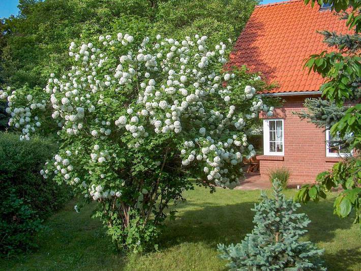Ferienhaus für 6 Personen, mit Balkon und Terrasse sowie Garten und Seeblick in Göhren-Lebbin - 4