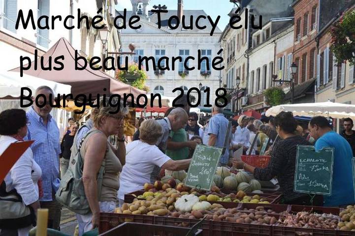 Gîte pour 2 personnes, avec sauna ainsi que jardin et piscine à Druyes-les-Belles-Fontaines - 4