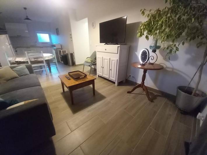 Location de vacances pour 5 personnes, avec jardin ainsi que terrasse et vue à La Chapelle-sur-Loire - 4