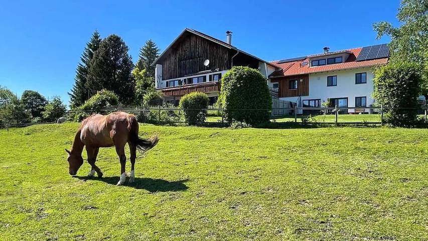 Ferienwohnung für 6 Personen, mit Terrasse und Garten, mit Haustier