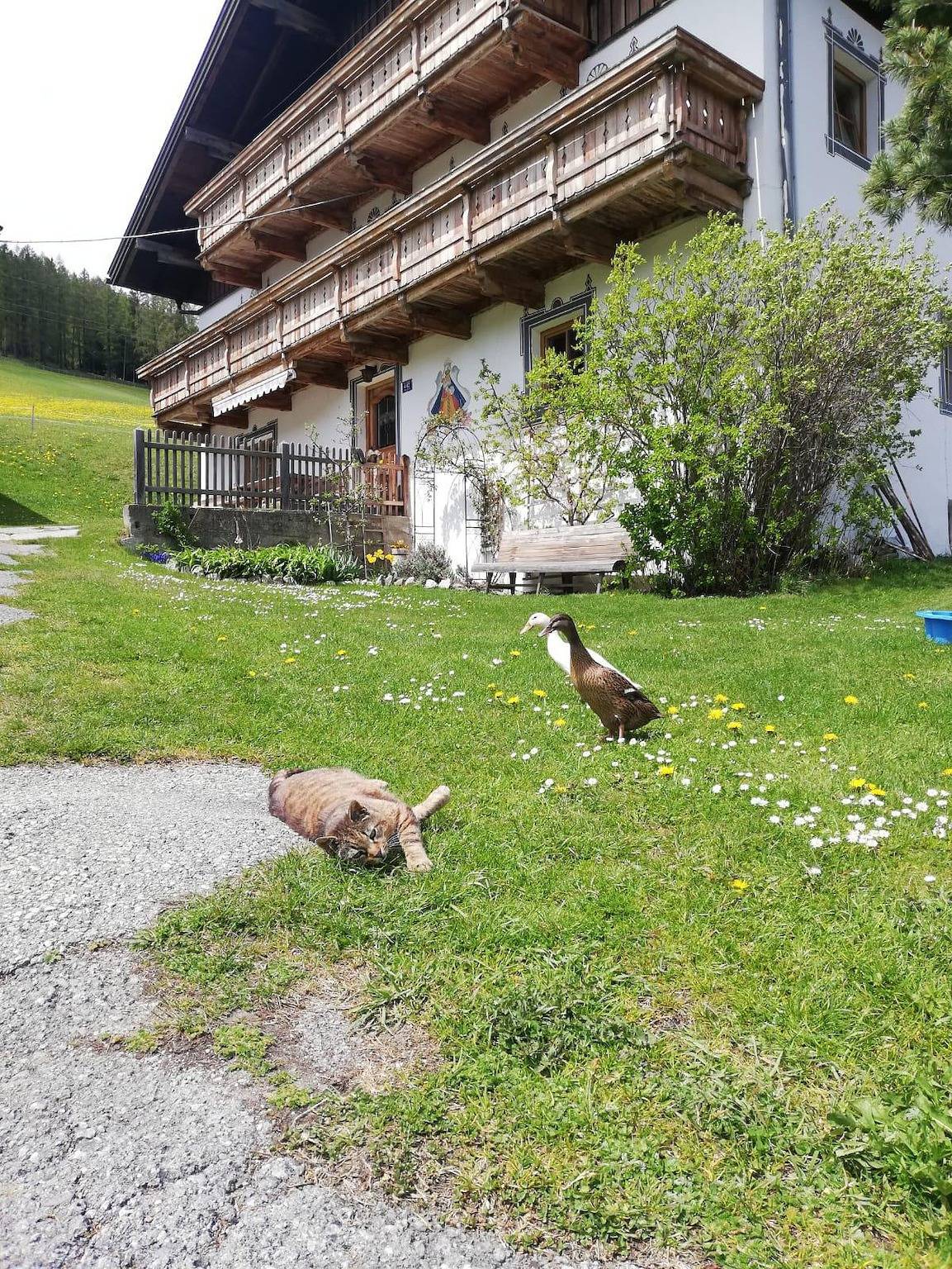Florerhof in Gries am Brenner, Innsbruck region