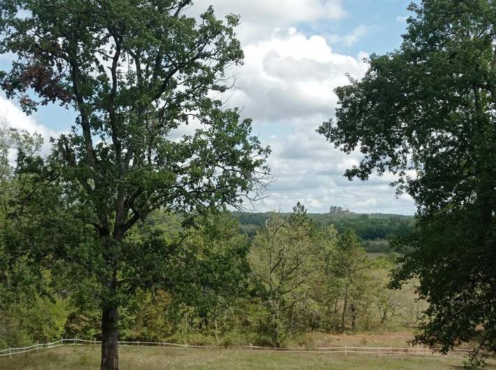 Location de vacances pour 6 personnes, avec vue ainsi que jardin et piscine à Dévillac - 3