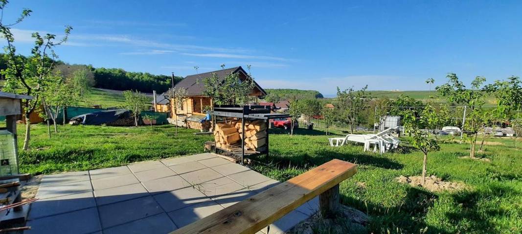 Villa pour 2 personnes, avec jardin et vue en Roumanie - 4