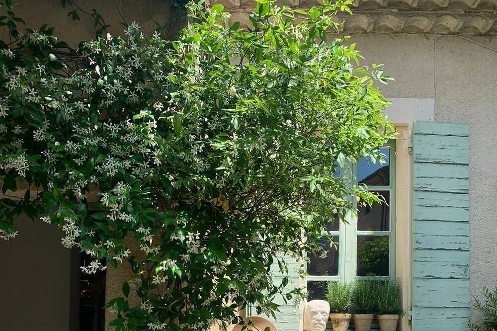 Charmant cottage provençal climatisé dans le centre du village avec jardin privé in Lourmarin, Parc naturel régional du Luberon